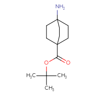 Chemical structure of tert-butyl 4-aminobicyclo[2.2.2]octane-1-carboxylate - CSSB00017598107