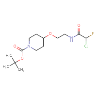 Chemical structure of tert-butyl 4-[2-(2-chloro-2-fluoroacetamido)ethoxy]piperidine-1-carboxylate - CSSB21332101094