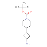 Chemical structure of tert-butyl 4-(3-aminocyclobutyl)piperidine-1-carboxylate - CSSB00138014706