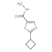 Chemical structure of 2-cyclobutyl-N-methyl-1,3-thiazole-5-carboxamide - CSSB07044687594
