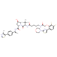 Chemical structure of (2S,4R)-1-[(2S)-2-[5-(2-{2,3-difluoro-6-[2-(morpholin-4-yl)-1,3-thiazol-4-yl]phenoxy}acetamido)pentanamido]-3,3-dimethylbutanoyl]-4-hydroxy-N-[(1S)-1-[4-(4-methyl-1,3-thiazol-5-yl)phenyl]ethyl]pyrrolidine-2-carboxamide - CSSB06354213855