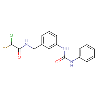 Chemical structure of 2-chloro-2-fluoro-N-({3-[(phenylcarbamoyl)amino]phenyl}methyl)acetamide - CSSB21332102578
