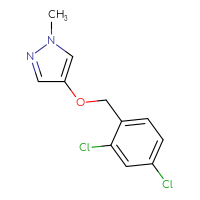 C11H10Cl2N2O