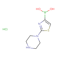 Chemical structure of [2-(piperazin-1-yl)-1,3-thiazol-4-yl]boronic acid hydrochloride - CSSB00010142843