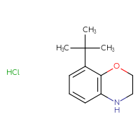Chemical structure of 8-tert-butyl-3,4-dihydro-2H-1,4-benzoxazine hydrochloride - CSSB00000708008
