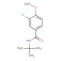 Chemical structure of N-tert-butyl-3-chloro-4-methoxybenzamide - CSSB00010777701
