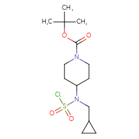 Chemical structure of tert-butyl 4-[(chlorosulfonyl)(cyclopropylmethyl)amino]piperidine-1-carboxylate - CSSB03554158847