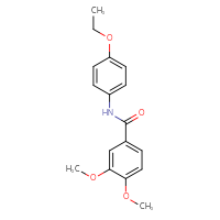 Chemical structure of N-(4-ethoxyphenyl)-3,4-dimethoxybenzamide - CSSB00028331500