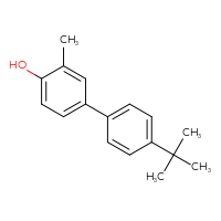 Chemical structure of 4'-tert-butyl-3-methyl-[1,1'-biphenyl]-4-ol - CSSB00001318085