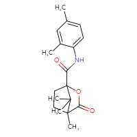 Chemical structure of N-(2,4-dimethylphenyl)-4,7,7-trimethyl-3-oxo-2-oxabicyclo[2.2.1]heptane-1-carboxamide - CSSB00121727932