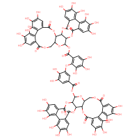 Chemical structure of 7,8,9,12,13,14,28,29,30,33,34,35-dodecahydroxy-4,17,25,38-tetraoxo-3,18,21,24,39-pentaoxaheptacyclo[20.17.0.0²,¹⁹.0⁵,¹⁰.0¹¹,¹⁶.0²⁶,³¹.0³²,³⁷]nonatriaconta-5,7,9,11,13,15,26,28,30,32,34,36-dodecaen-20-yl 2-{5-[({7,8,9,12,13,14,28,29,30,33,34,35-dodecahydroxy-4,17,25,38-tetraoxo-3,18,21,24,39-pentaoxaheptacyclo[20.17.0.0²,¹⁹.0⁵,¹⁰.0¹¹,¹⁶.0²⁶,³¹.0³²,³⁷]nonatriaconta-5,7,9,11,13,15,26,28,30,32,34,36-dodecaen-20-yl}oxy)carbonyl]-2,3-dihydroxyphenoxy}-3,4,5-trihydroxybenzoate - CSSB14948337746