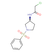 Chemical structure of N-[(3S)-1-(benzenesulfonyl)pyrrolidin-3-yl]-2-chloroacetamide - CSSB00160535456