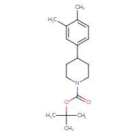 Chemical structure of tert-butyl 4-(3,4-dimethylphenyl)piperidine-1-carboxylate - CSSB00011086565