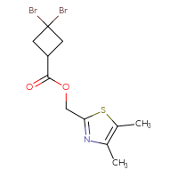 C11H13Br2NO2S