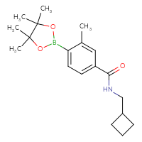 Chemical structure of N-(cyclobutylmethyl)-3-methyl-4-(4,4,5,5-tetramethyl-1,3,2-dioxaborolan-2-yl)benzamide - CSSB02526775369