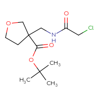 Chemical structure of tert-butyl 3-[(2-chloroacetamido)methyl]oxolane-3-carboxylate - CSSB01095733993