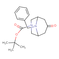 Chemical structure of tert-butyl 9-benzyl-7-oxo-3,9-diazabicyclo[3.3.1]nonane-3-carboxylate - CSSB00011112281