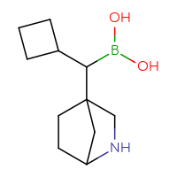 C11H20BNO2