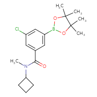 Chemical structure of 3-chloro-N-cyclobutyl-N-methyl-5-(4,4,5,5-tetramethyl-1,3,2-dioxaborolan-2-yl)benzamide - CSSB02526686206