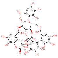 Chemical structure of (1R,7R,8S,26R,28S,29R,38R)-1,13,14,15,18,19,20,34,35,39,39-undecahydroxy-2,5,10,23,31-pentaoxo-6,9,24,27,30,40-hexaoxaoctacyclo[34.3.1.0⁴,³⁸.0⁷,²⁶.0⁸,²⁹.0¹¹,¹⁶.0¹⁷,²².0³²,³⁷]tetraconta-3,11,13,15,17,19,21,32(37),33,35-decaen-28-yl 3,4,5-trihydroxybenzoate - CSSB02125553714