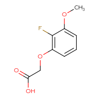 Chemical structure of 2-(2-fluoro-3-methoxyphenoxy)acetic acid - CSSB02129657621