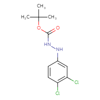 Chemical structure of N'-(3,4-dichlorophenyl)(tert-butoxy)carbohydrazide - CSSB21331812861