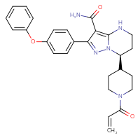 Chemical structure of (7S)-2-(4-phenoxyphenyl)-7-[1-(prop-2-enoyl)piperidin-4-yl]-4H,5H,6H,7H-pyrazolo[1,5-a]pyrimidine-3-carboxamide - CSSB00134618176