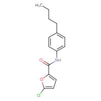Chemical structure of N-(4-butylphenyl)-5-chlorofuran-2-carboxamide - CSSB00000391652