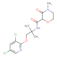 C15H19Cl2N3O4