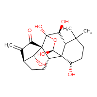 Chemical structure of (1R,2S,5S,8R,9S,10S,11R,15S,16S,18R)-9,10,15,16,18-pentahydroxy-12,12-dimethyl-6-methylidene-17-oxapentacyclo[7.6.2.1⁵,⁸.0¹,¹¹.0²,⁸]octadecan-7-one - CSSB20622561772