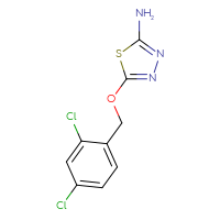 Chemical structure of 5-[(2,4-dichlorophenyl)methoxy]-1,3,4-thiadiazol-2-amine - CSSB00000724101