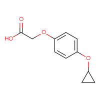 Chemical structure of 2-(4-cyclopropoxyphenoxy)acetic acid - CSSB00134818953