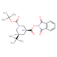 Chemical structure of rac-1-tert-butyl 3-(1,3-dioxo-2,3-dihydro-1H-isoindol-2-yl) (3R,5R)-5-tert-butylpiperidine-1,3-dicarboxylate - CSSB20620683935