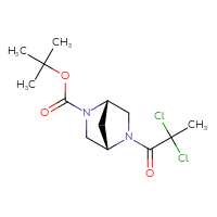 C13H20Cl2N2O3
