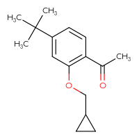Chemical structure of 1-[4-tert-butyl-2-(cyclopropylmethoxy)phenyl]ethan-1-one - CSSB20879236494