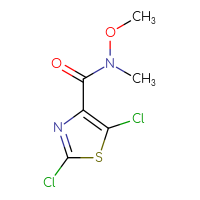 Chemical structure of 2,5-dichloro-N-methoxy-N-methyl-1,3-thiazole-4-carboxamide - CSSB01991068329