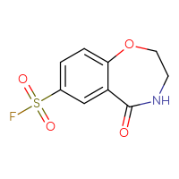Chemical structure of 5-oxo-2,3,4,5-tetrahydro-1,4-benzoxazepine-7-sulfonyl fluoride - CSSB00102729480