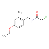 Chemical structure of 2-chloro-N-[(4-ethoxy-2-methylphenyl)methyl]acetamide - CSSB21332044434