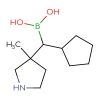 C11H22BNO2