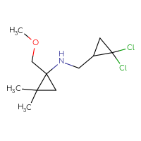 C11H19Cl2NO