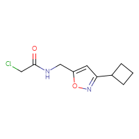 Chemical structure of 2-chloro-N-[(3-cyclobutyl-1,2-oxazol-5-yl)methyl]acetamide - CSSB06785922847