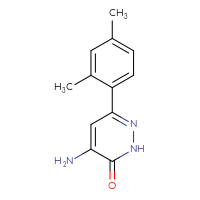Chemical structure of 4-amino-6-(2,4-dimethylphenyl)-2,3-dihydropyridazin-3-one - CSSB00010187110