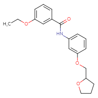 Chemical structure of 3-ethoxy-N-{3-[(oxolan-2-yl)methoxy]phenyl}benzamide - CSSB00048177622