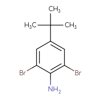 Chemical structure of 2,6-dibromo-4-tert-butylaniline - CSSB00010169820