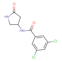Chemical structure of 3,5-dichloro-N-(5-oxopyrrolidin-3-yl)benzamide - CSSB01999146553