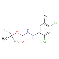 Chemical structure of N'-(2,4-dichloro-5-methylphenyl)(tert-butoxy)carbohydrazide - CSSB21331811127
