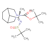 Chemical structure of tert-butyl 8-(1-{[(S)-2-methylpropane-2-sulfinyl]imino}ethyl)-3-azabicyclo[3.2.1]octane-3-carboxylate - CSSB21331811293