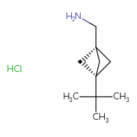 C10H20ClN