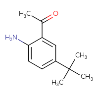 Chemical structure of 1-(2-amino-5-tert-butylphenyl)ethan-1-one - CSSB00016000976