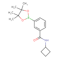 Chemical structure of N-cyclobutyl-3-(4,4,5,5-tetramethyl-1,3,2-dioxaborolan-2-yl)benzamide - CSSB02148211171